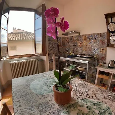 Storica E Panoramica - Centro * Pisa