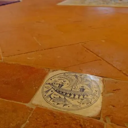 Storica E Panoramica - Centro * Pisa