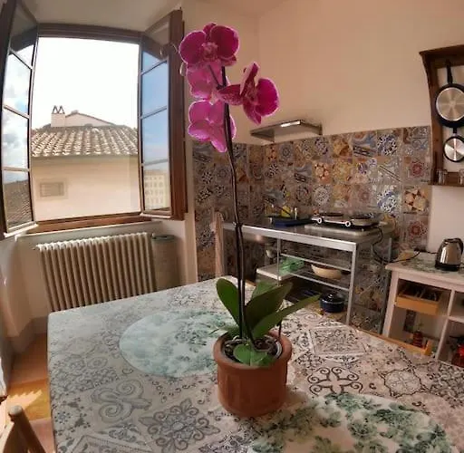 Storica E Panoramica - Centro * Pisa