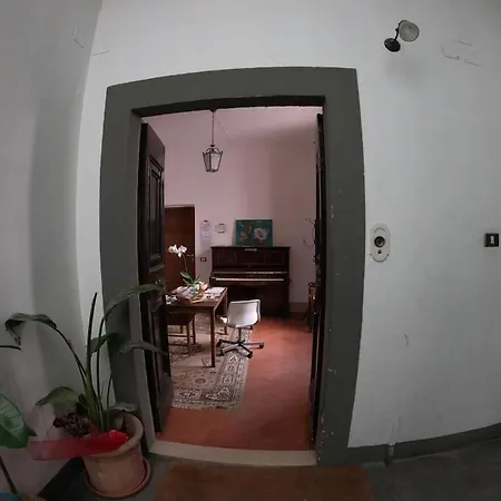 Storica E Panoramica - Centro Pisa